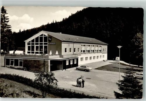 Wildemann Gasthaus Kurhaus Auto