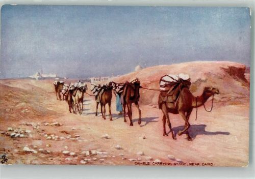 Kairo sign. Oilette Nr. 7204 Tuck und Sons Camels Carrying Stone