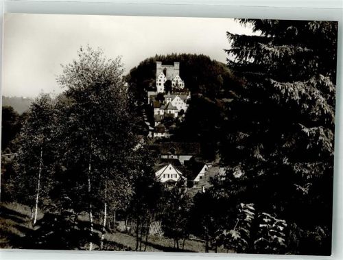 72213 W7272 Berneck , Württ Foto AK Schloss