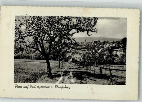 Bad Pyrmont 1940 Blühende Bäume oberhalb des Ortes Fotograf Frost