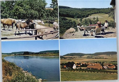 Hohenrode Ponyhof Gerda Schulze