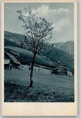 Svaty Petr St. Peter - Frühling Schlesische Gebirgsbilder Foto v. Blau, O.