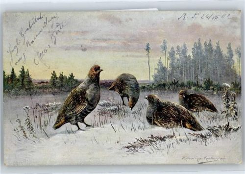 Federwild Müller jun. (München)
