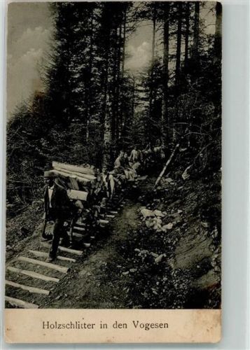 1915 Holzschlitter in den Vogesen