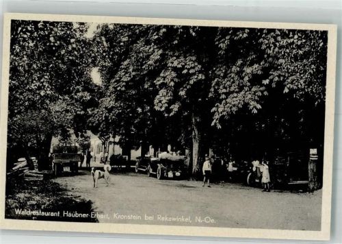 Kronstein Auto Gasthaus Haubner-Erhart Hund