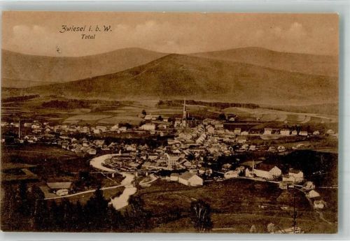 Zwiesel 1907