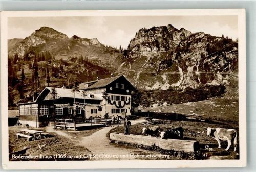 Neuhaus Bodenschneidhaus u. Hohenpeissenberg Kühe