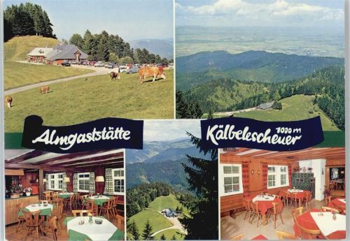 Münstertal Almgaststätte Kälbelescheuer