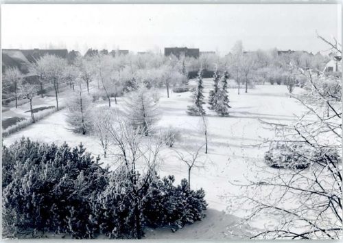 Marne Park im Winter, Fotoabzug