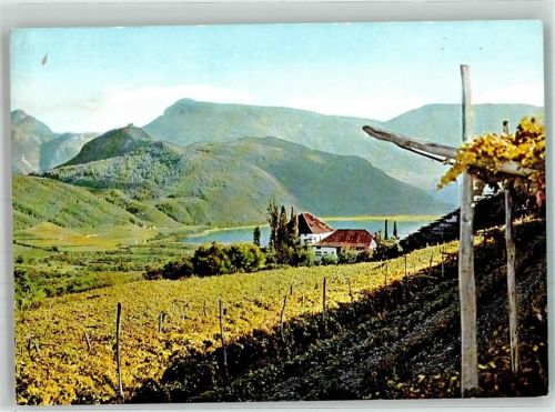 39052 Kaltern Caldaro Foto AK Burg Leuchtenburg Ringberg