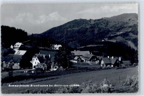 Haslau Sommerfrische Brandlucken bei Heilbrunn
