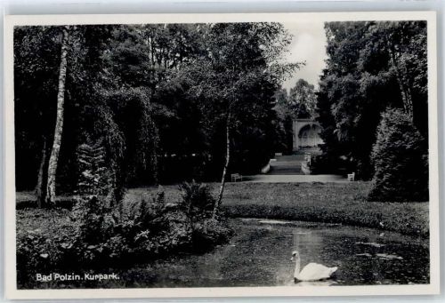 Bad Polzin Kurpark, Schwan