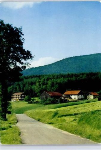 Waltersau Waldweg