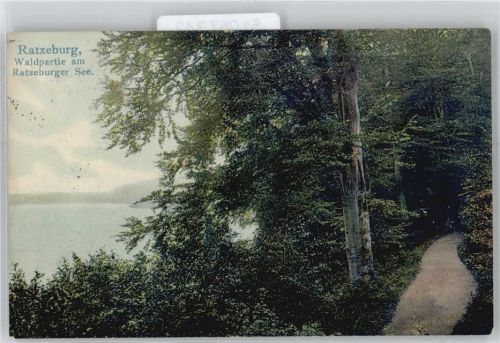 Ratzeburg Waldpartie am Ratzeburger See