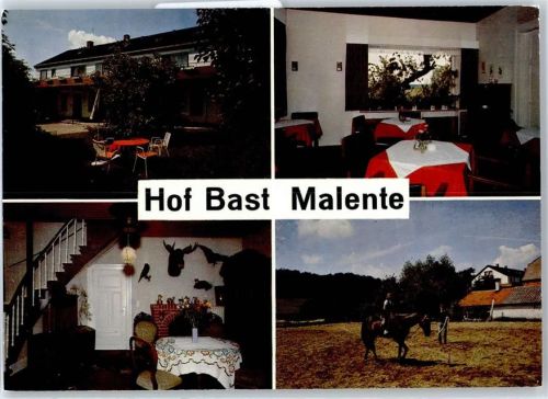 Malente-Gremsmühlen Hof Bast, Pferd