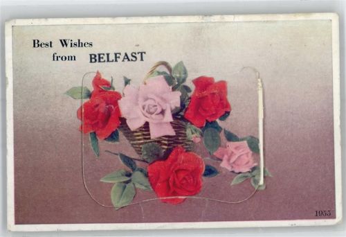 Belfast Leporello, Blume Rose