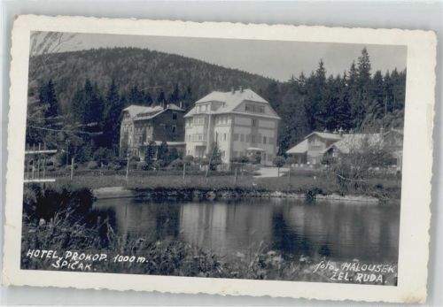 Susice Nationalpark Sumava Hotel Prokop