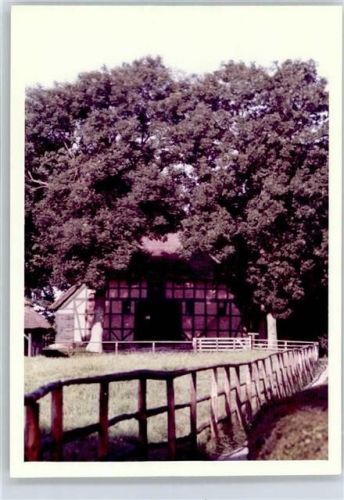 Meldorf Museum , Fotoabzug