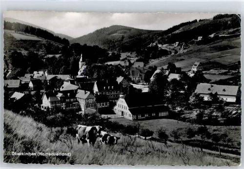 Oberkirchen Kuhweide , Marke entfernt