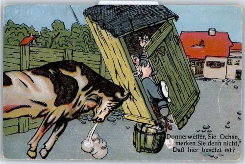 Stier