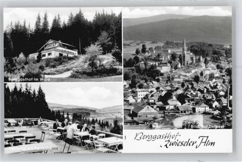 Zwiesel Berggasthof Zwieseler Alm