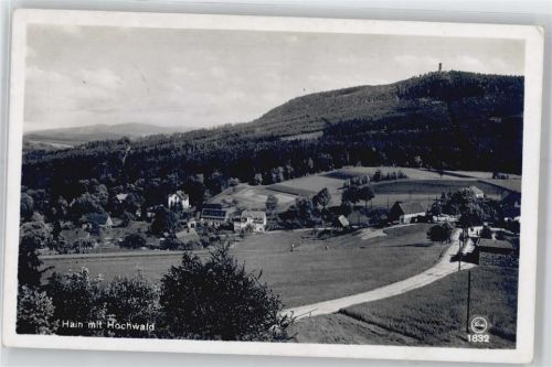 Hain Hochwald