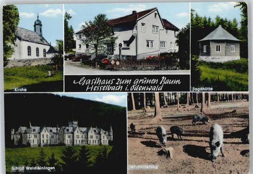 64754 W6121 Hesselbach , Odenw - Gasthaus zum grünen Baum, Jagdhütte, Wildfütterung, Schloß Waldleiningen, Kirche