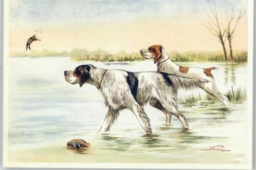 Notfini , Jagdhunde