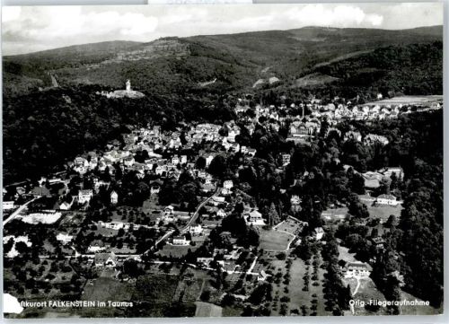 Falkenstein Gesamtansicht