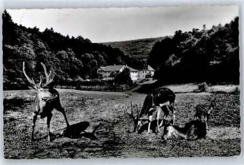 Holzbachtal Foto-Karte Waldhotel Bergschmiede Hirschgehege