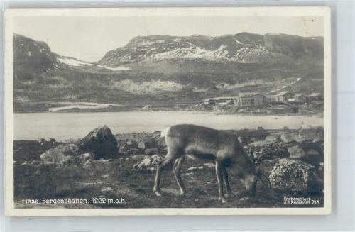 Finse Bergensbanen
