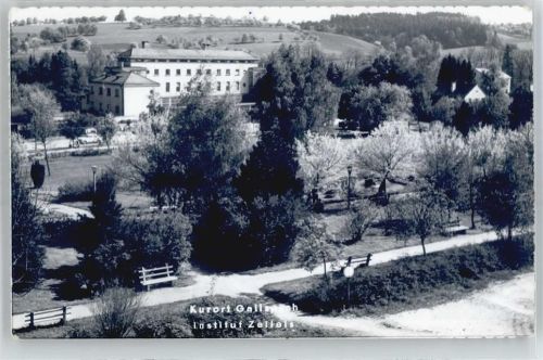 Gallspach Institut Zeileis