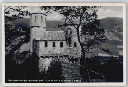 Neckarsteinach Schwalbennest, Mittelburg, Dilsberg
