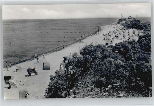 Insel Poel schwarzer Busch