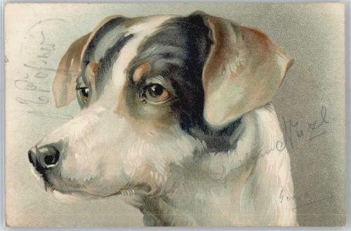 Hundekopf