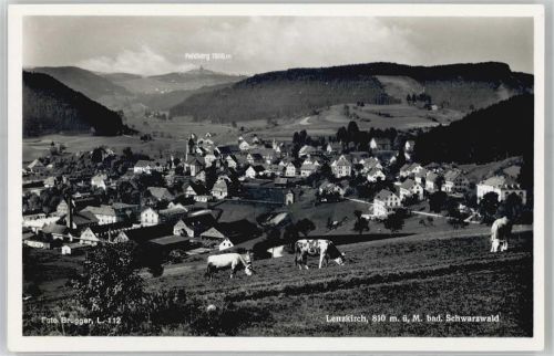 Lenzkirch Feldberg, Kühe