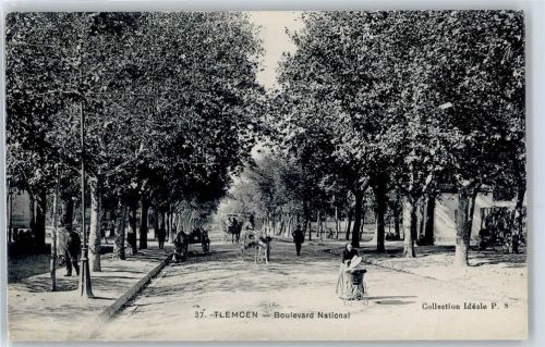 Tlemcen Boulevard National, Pferdekutsche