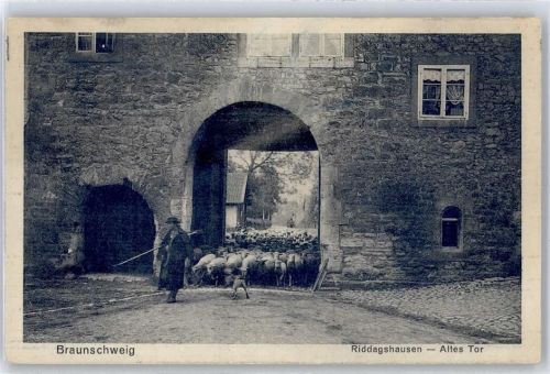 Riddagshausen Altes Tor, Schäfer mit Schafherde