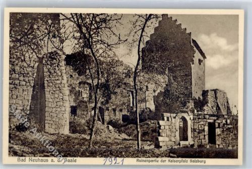 Bad Neuhaus Ruinenpartie der Kaiserpfalz Salzburg