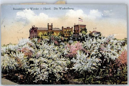 Werder Wachtelburg