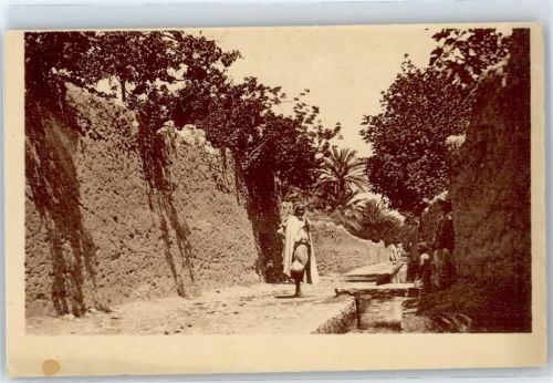 Bou-Saada Oasis