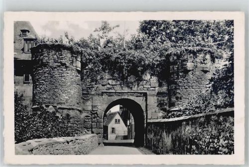 Alzey Burgtor