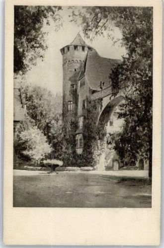 Michelstadt Schloß Fürstenau Wasserburg