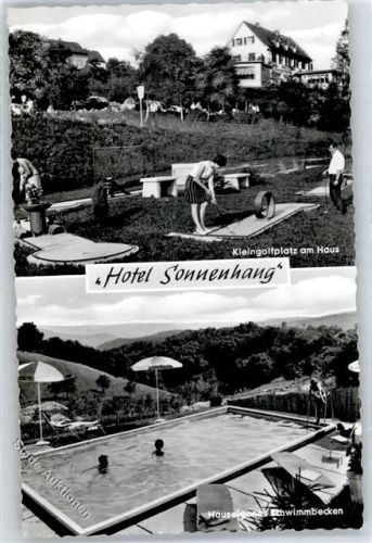 Espenschied Hotel Sonnenhang Minigolf Schwimmbad