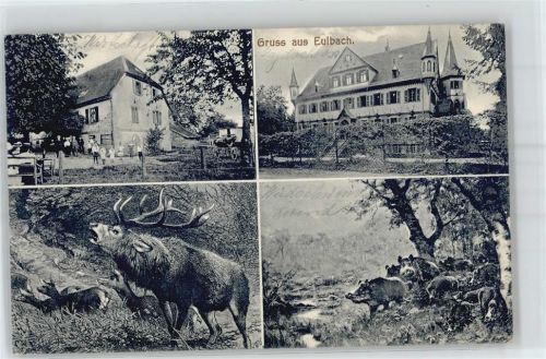 Eulbach 1913 Gasthaus Jagdschloss