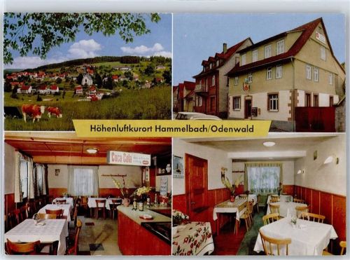 Hammelbach Gasthaus Pension zur frischen Quelle