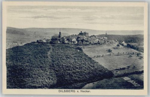 Dilsberg Blick auf Dilsberg