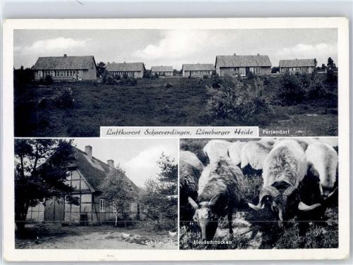 Schneverdingen Schäferhof Heidschnucken Feriendorf