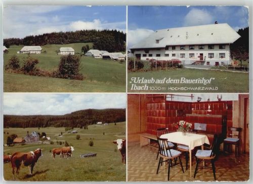 79837 W7822 Ibach , Schwarzw - Urlaub auf dem Bauernhof Haus Karl Böhler Kuh