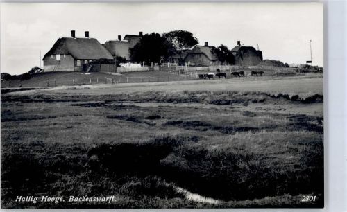 Hooge Backenswarft